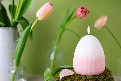 LED Candle Set Eggy - Set of 3
