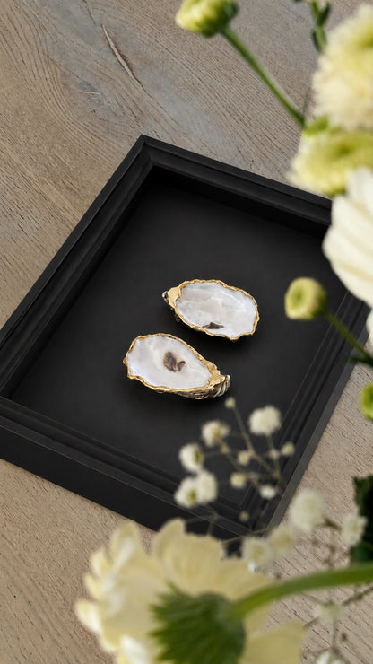 Gouden Oester in Lijst - Zwart
